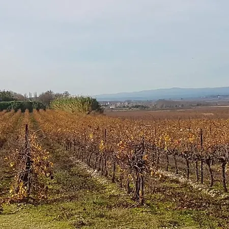 Villa La